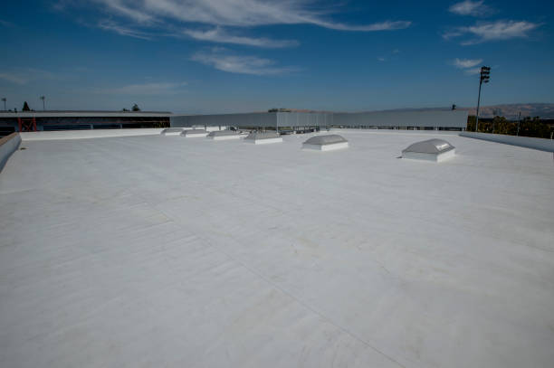 Best Asphalt Shingles Roofing  in Libby, MT