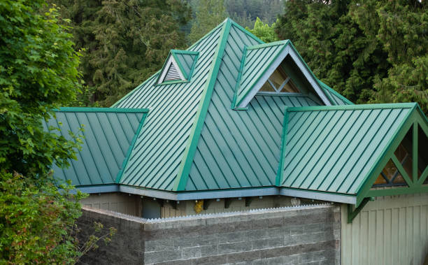 Best Solar Panel Roofing Installation  in Libby, MT